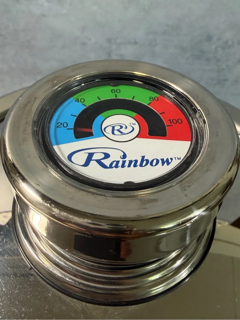 Rainbow Stainless Steel Lid with Integrated Temperature Gauge - Silver